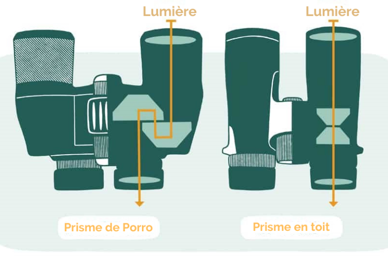 Jumelles en prisme de porro et en toit