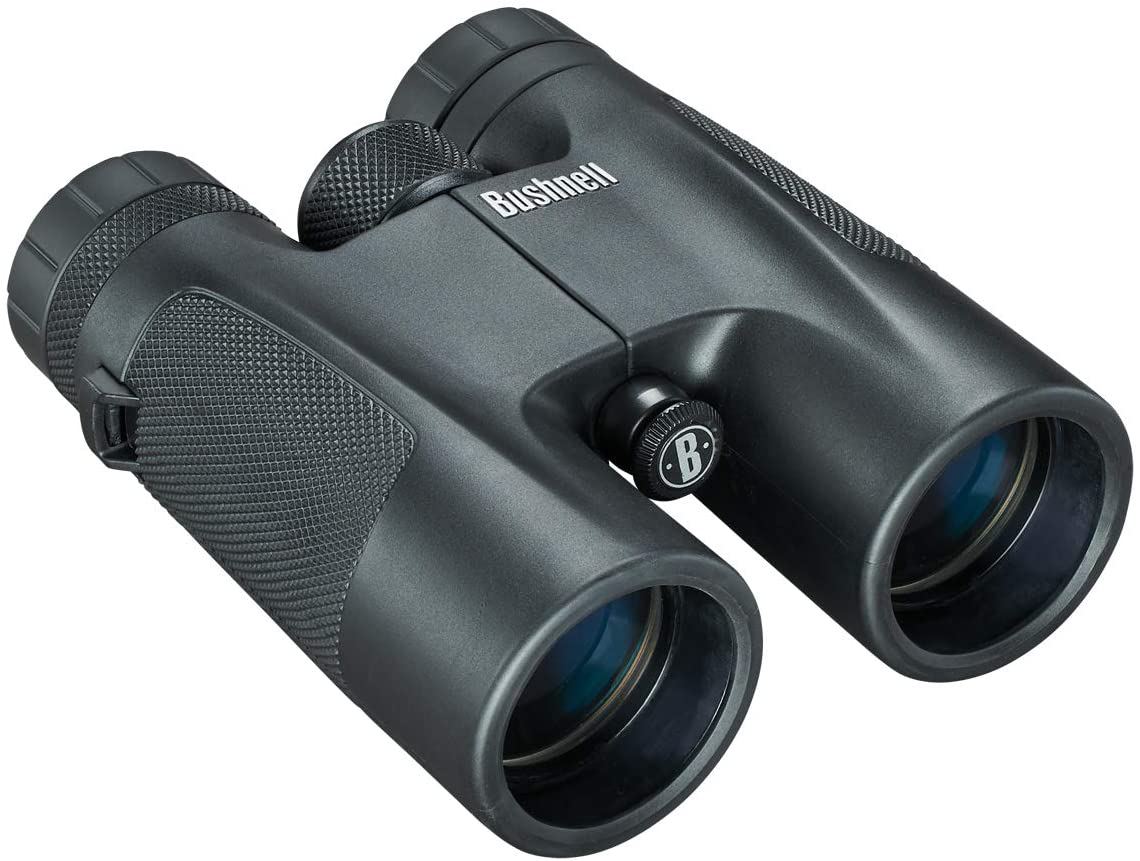 Jumelles Bushnell Powerview 10x42