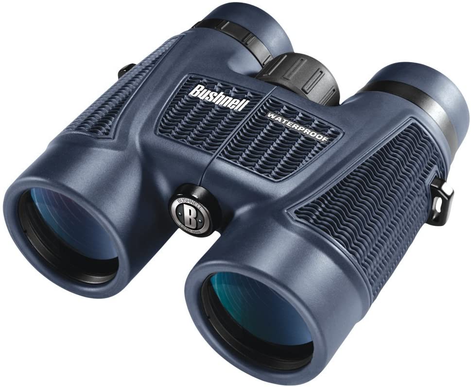 Jumelles Bushnell H2O 8x42
