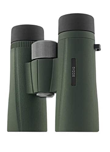 Kowa BD II XD 8x42